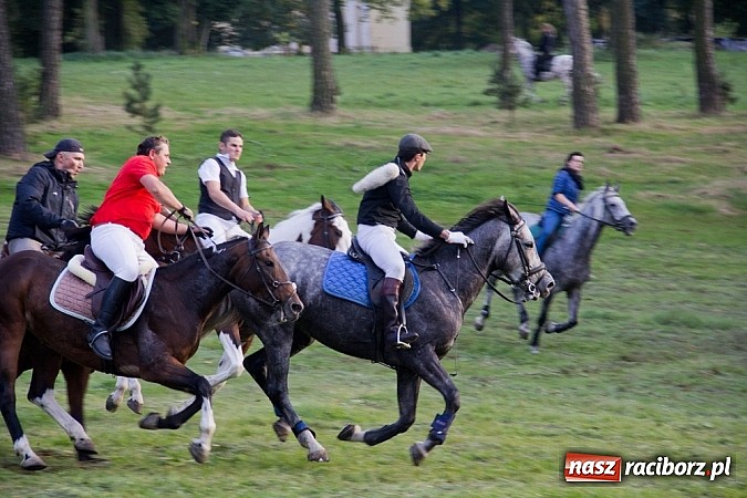 Zdjęcie w galerii na portalu naszraciborz.pl: Hubertus 2013 - w Krowiarkach gonili lisa wiadomości z regionu
