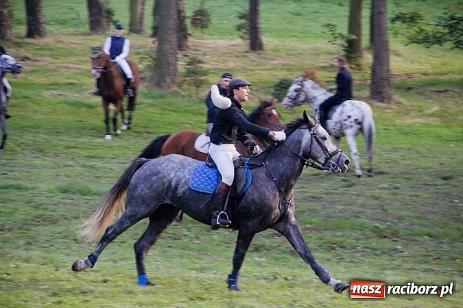 Zdjęcie w galerii na portalu naszraciborz.pl: Hubertus 2013 - w Krowiarkach gonili lisa wiadomości z regionu