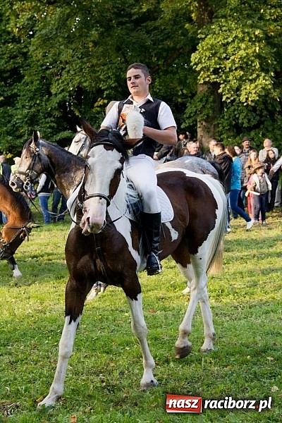 Zdjęcie w galerii na portalu naszraciborz.pl: Hubertus 2013 - w Krowiarkach gonili lisa wiadomości z regionu