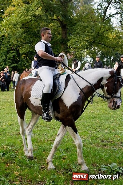 Zdjęcie w galerii na portalu naszraciborz.pl: Hubertus 2013 - w Krowiarkach gonili lisa wiadomości z regionu