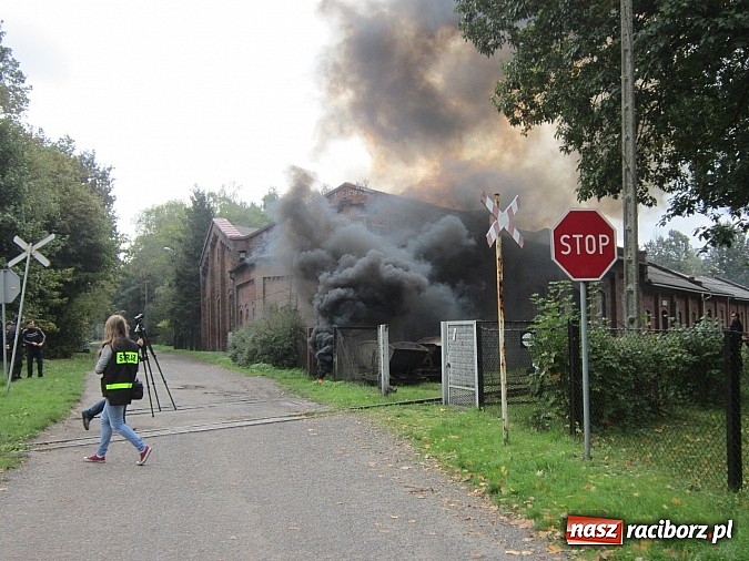 Zdjęcie w galerii na portalu naszraciborz.pl: Gminne ćwiczenia strażackie OSP w Rudach. Turyści mieli co oglądać wiadomości z regionu