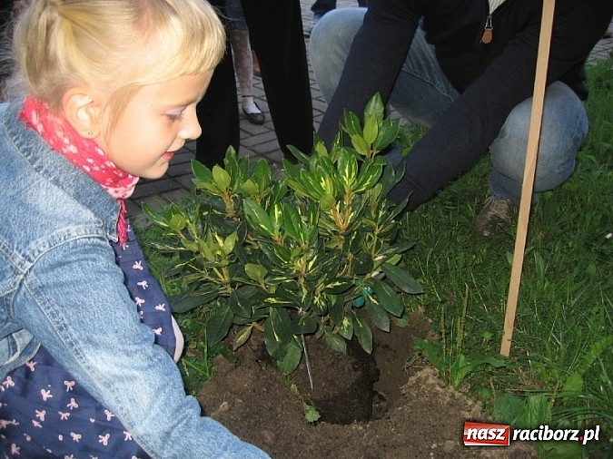 Zdjęcie w galerii na portalu naszraciborz.pl: Pasowanie na Pierwszaka w SP-18 wiadomości z regionu
