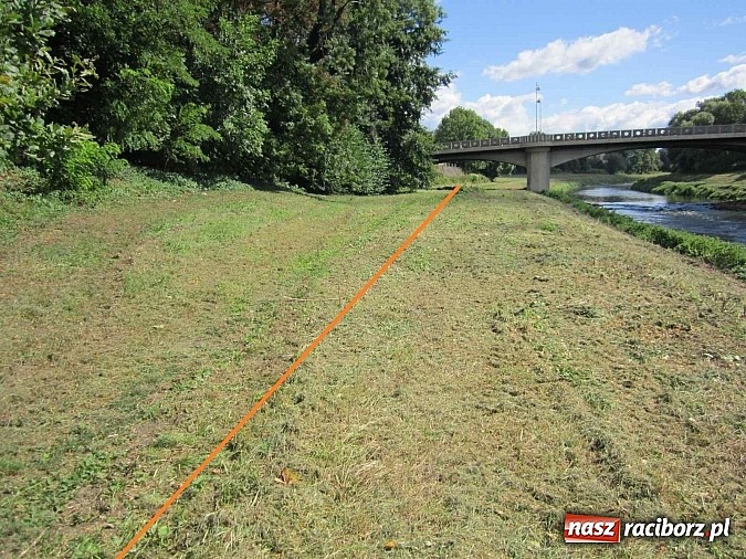 Zdjęcie w galerii na portalu naszraciborz.pl: Po co nam Odra? Trzeba odkryć potencjał rzeki wiadomości z regionu