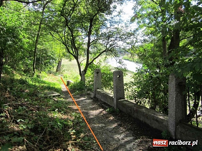 Zdjęcie w galerii na portalu naszraciborz.pl: Po co nam Odra? Trzeba odkryć potencjał rzeki wiadomości z regionu