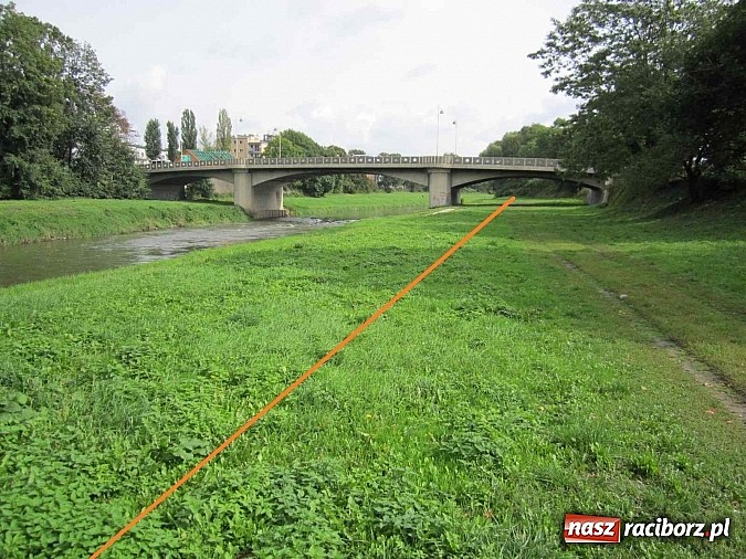 Zdjęcie w galerii na portalu naszraciborz.pl: Po co nam Odra? Trzeba odkryć potencjał rzeki wiadomości z regionu