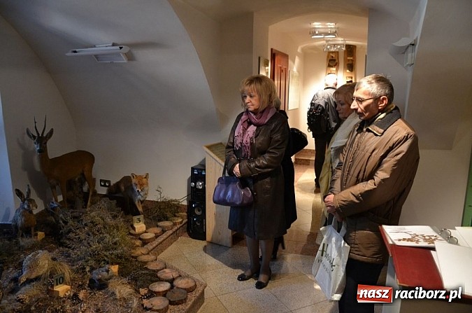 Zdjęcie w galerii na portalu naszraciborz.pl: Święto śląskiej turystyki na Zamku Piastowskim wiadomości z regionu