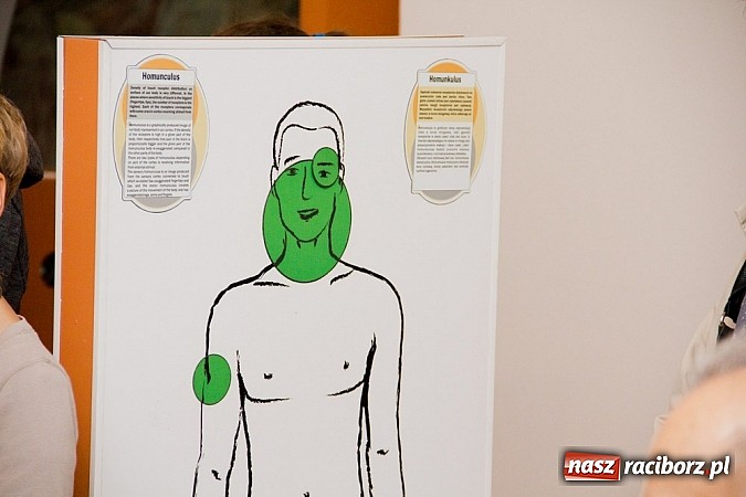 Zdjęcie w galerii na portalu naszraciborz.pl: Świat Zmysł&oacute;w - nowa wystawa już czynna wiadomości z regionu