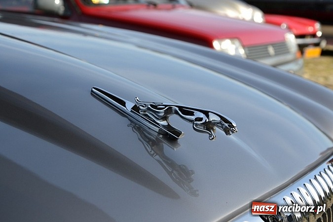 Zdjęcie w galerii na portalu naszraciborz.pl: W Zabełkowie miłośnicy oldtimerów zakończyli sezon wiadomości z regionu