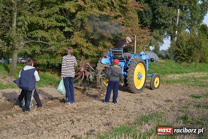 Zdjęcie w galerii na portalu naszraciborz.pl: W Zabełkowie miłośnicy oldtimerów zakończyli sezon wiadomości z regionu