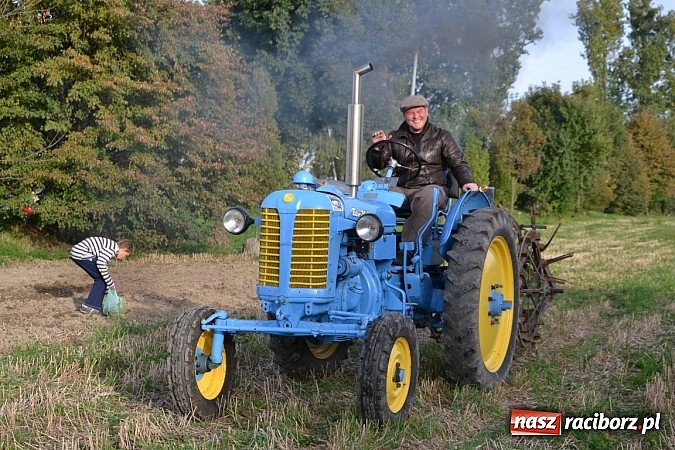 Zdjęcie w galerii na portalu naszraciborz.pl: W Zabełkowie miłośnicy oldtimerów zakończyli sezon wiadomości z regionu