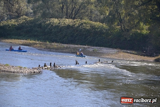 Zdjęcie w galerii na portalu naszraciborz.pl: Międzynarodowy Trójbój Sportowy na pograniczu wiadomości z regionu