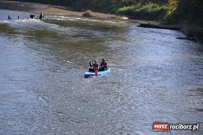 Zdjęcie w galerii na portalu naszraciborz.pl: Międzynarodowy Trójbój Sportowy na pograniczu wiadomości z regionu
