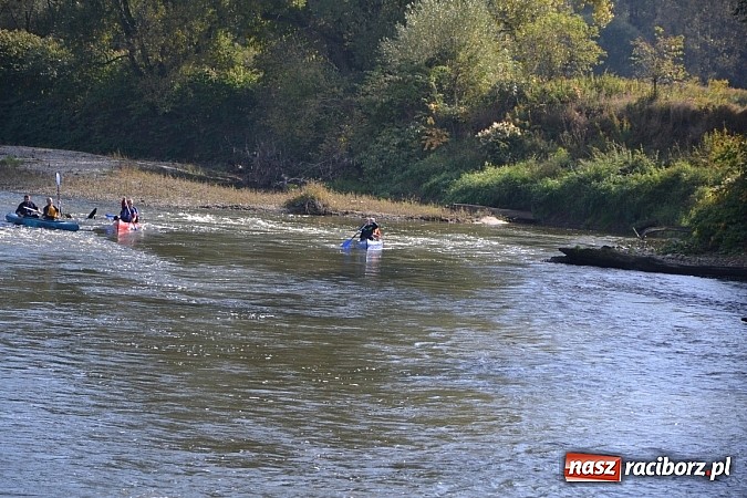 Zdjęcie w galerii na portalu naszraciborz.pl: Międzynarodowy Trójbój Sportowy na pograniczu wiadomości z regionu
