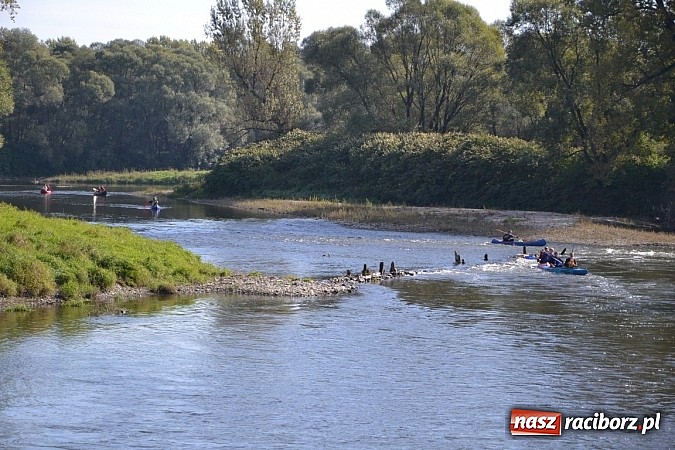 Zdjęcie w galerii na portalu naszraciborz.pl: Międzynarodowy Trójbój Sportowy na pograniczu wiadomości z regionu