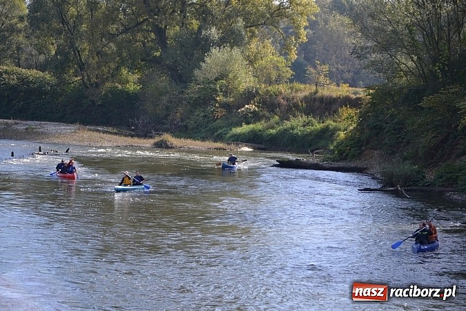 Zdjęcie w galerii na portalu naszraciborz.pl: Międzynarodowy Trójbój Sportowy na pograniczu wiadomości z regionu