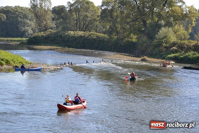Zdjęcie w galerii na portalu naszraciborz.pl: Międzynarodowy Trójbój Sportowy na pograniczu wiadomości z regionu