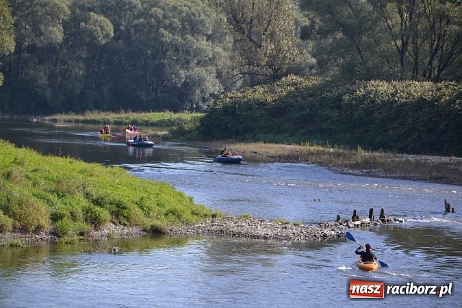 Zdjęcie w galerii na portalu naszraciborz.pl: Międzynarodowy Trójbój Sportowy na pograniczu wiadomości z regionu