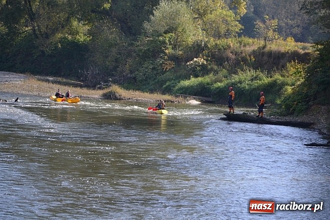 Zdjęcie w galerii na portalu naszraciborz.pl: Międzynarodowy Trójbój Sportowy na pograniczu wiadomości z regionu