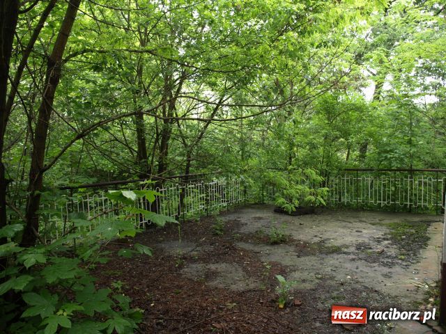 Zdjęcie w galerii na portalu naszraciborz.pl: Potrzebny inwestor z gotówką wiadomości z regionu