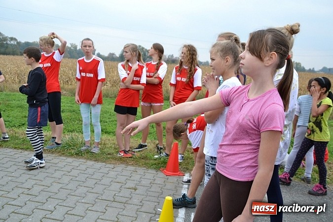 Zdjęcie w galerii na portalu naszraciborz.pl: Uczniowie z gminy Krzyżanowice sprawdzili się dziś w przełajach wiadomości z regionu