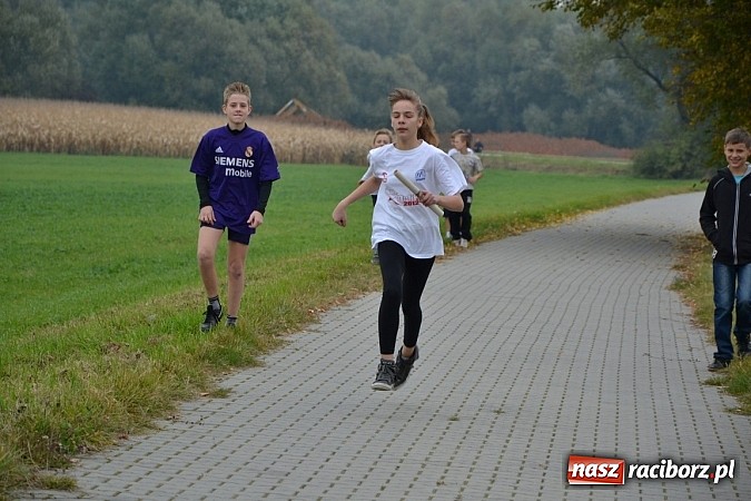 Zdjęcie w galerii na portalu naszraciborz.pl: Uczniowie z gminy Krzyżanowice sprawdzili się dziś w przełajach wiadomości z regionu
