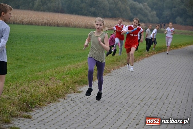 Zdjęcie w galerii na portalu naszraciborz.pl: Uczniowie z gminy Krzyżanowice sprawdzili się dziś w przełajach wiadomości z regionu