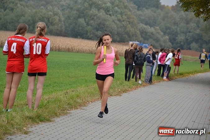 Zdjęcie w galerii na portalu naszraciborz.pl: Uczniowie z gminy Krzyżanowice sprawdzili się dziś w przełajach wiadomości z regionu