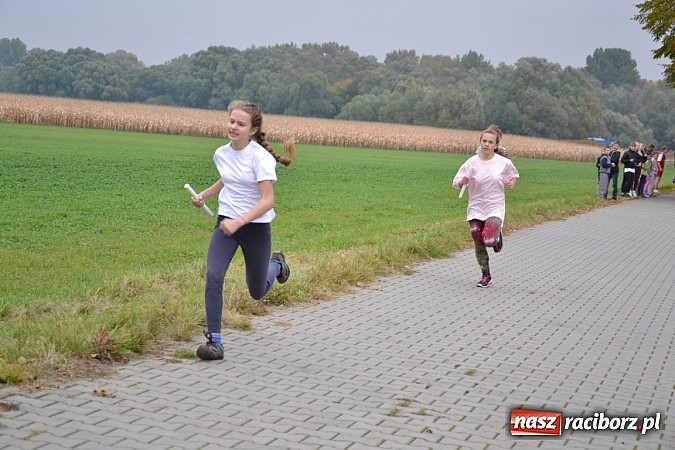 Zdjęcie w galerii na portalu naszraciborz.pl: Uczniowie z gminy Krzyżanowice sprawdzili się dziś w przełajach wiadomości z regionu