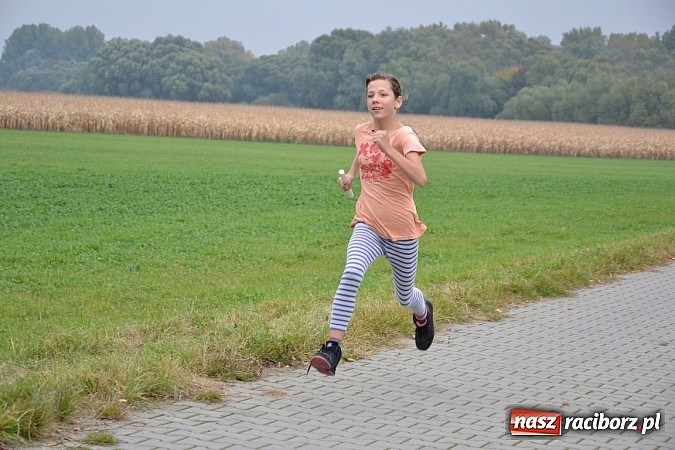 Zdjęcie w galerii na portalu naszraciborz.pl: Uczniowie z gminy Krzyżanowice sprawdzili się dziś w przełajach wiadomości z regionu