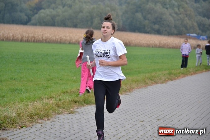 Zdjęcie w galerii na portalu naszraciborz.pl: Uczniowie z gminy Krzyżanowice sprawdzili się dziś w przełajach wiadomości z regionu