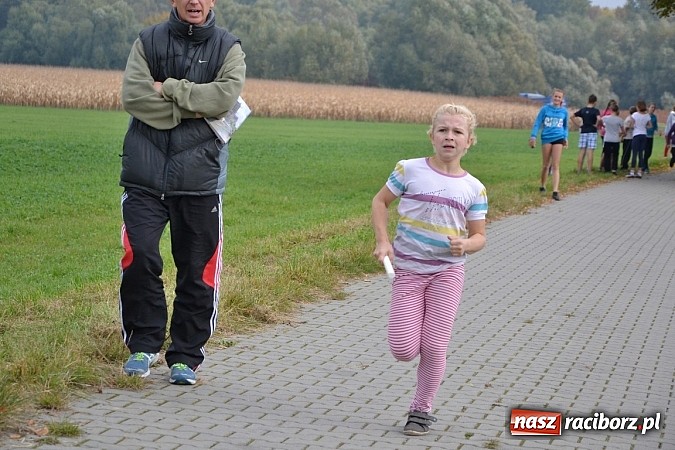 Zdjęcie w galerii na portalu naszraciborz.pl: Uczniowie z gminy Krzyżanowice sprawdzili się dziś w przełajach wiadomości z regionu