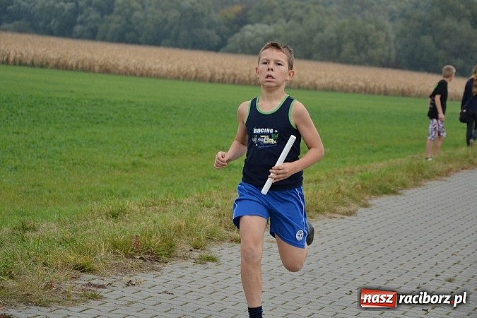 Zdjęcie w galerii na portalu naszraciborz.pl: Uczniowie z gminy Krzyżanowice sprawdzili się dziś w przełajach wiadomości z regionu