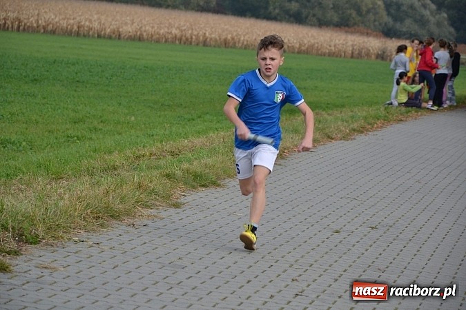 Zdjęcie w galerii na portalu naszraciborz.pl: Uczniowie z gminy Krzyżanowice sprawdzili się dziś w przełajach wiadomości z regionu