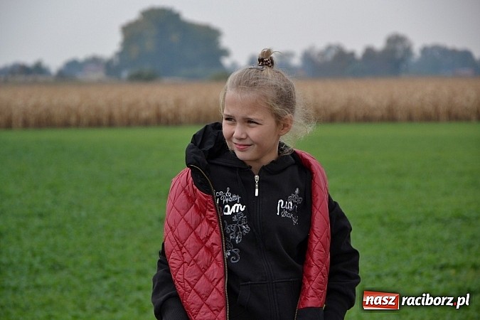 Zdjęcie w galerii na portalu naszraciborz.pl: Uczniowie z gminy Krzyżanowice sprawdzili się dziś w przełajach wiadomości z regionu