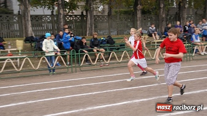 Zdjęcie w galerii na portalu naszraciborz.pl: Sport szkolny. Lekkoatletyczna Olimpiada wiadomości z regionu