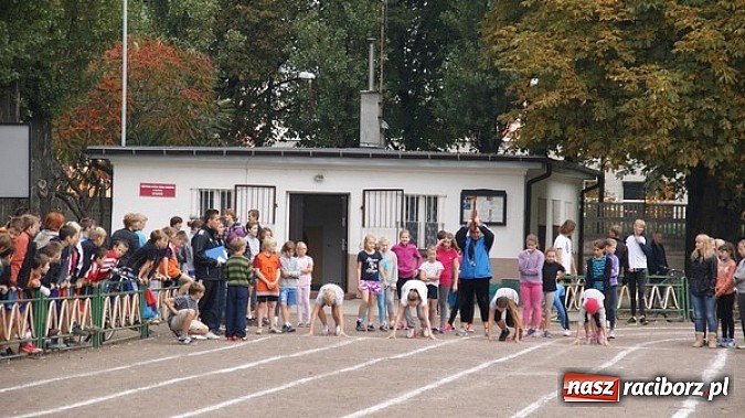 Zdjęcie w galerii na portalu naszraciborz.pl: Sport szkolny. Lekkoatletyczna Olimpiada wiadomości z regionu