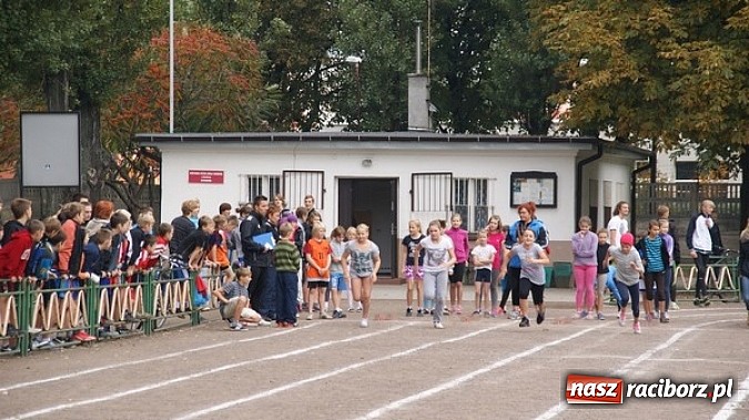 Zdjęcie w galerii na portalu naszraciborz.pl: Sport szkolny. Lekkoatletyczna Olimpiada wiadomości z regionu