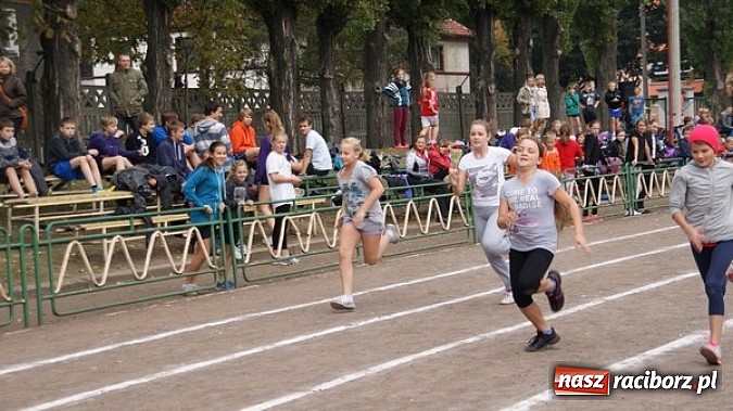 Zdjęcie w galerii na portalu naszraciborz.pl: Sport szkolny. Lekkoatletyczna Olimpiada wiadomości z regionu