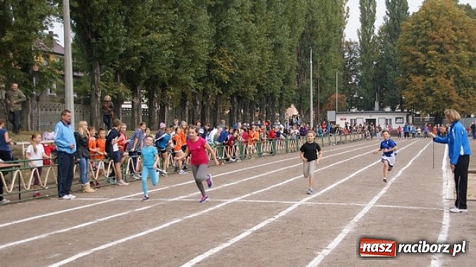 Zdjęcie w galerii na portalu naszraciborz.pl: Sport szkolny. Lekkoatletyczna Olimpiada wiadomości z regionu