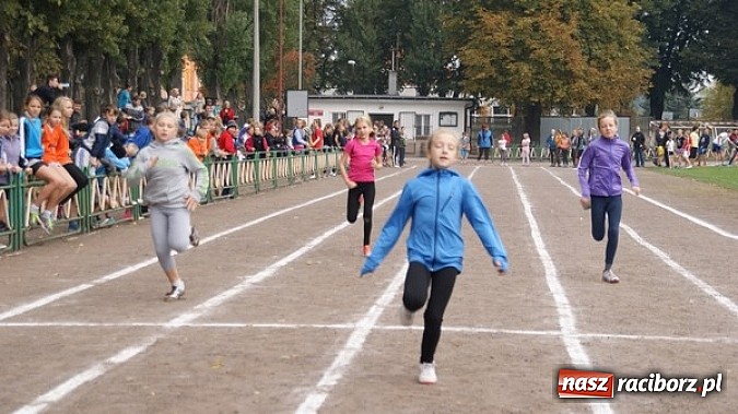Zdjęcie w galerii na portalu naszraciborz.pl: Sport szkolny. Lekkoatletyczna Olimpiada wiadomości z regionu