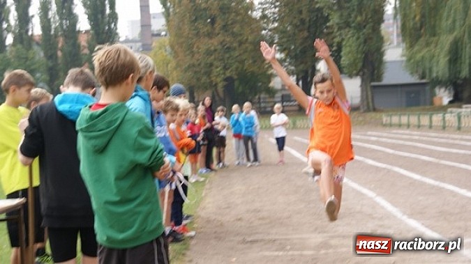 Zdjęcie w galerii na portalu naszraciborz.pl: Sport szkolny. Lekkoatletyczna Olimpiada wiadomości z regionu