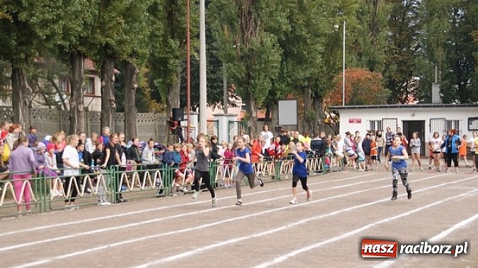 Zdjęcie w galerii na portalu naszraciborz.pl: Sport szkolny. Lekkoatletyczna Olimpiada wiadomości z regionu