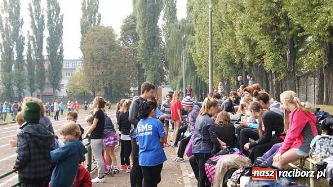 Zdjęcie w galerii na portalu naszraciborz.pl: Sport szkolny. Lekkoatletyczna Olimpiada wiadomości z regionu