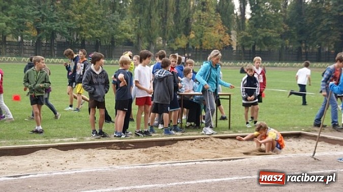 Zdjęcie w galerii na portalu naszraciborz.pl: Sport szkolny. Lekkoatletyczna Olimpiada wiadomości z regionu