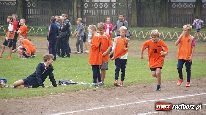 Zdjęcie w galerii na portalu naszraciborz.pl: Sport szkolny. Lekkoatletyczna Olimpiada wiadomości z regionu