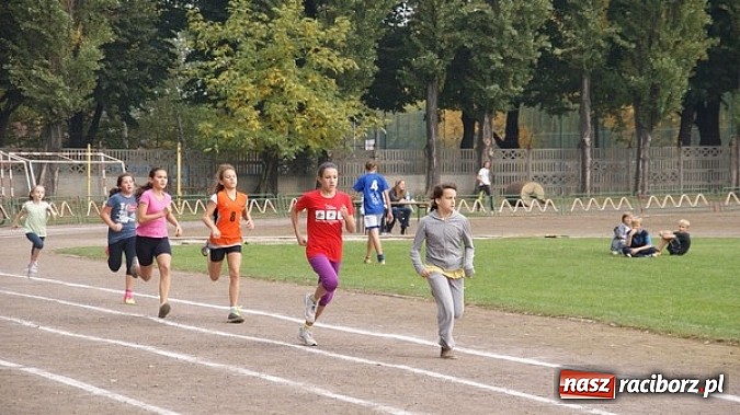 Zdjęcie w galerii na portalu naszraciborz.pl: Sport szkolny. Lekkoatletyczna Olimpiada wiadomości z regionu