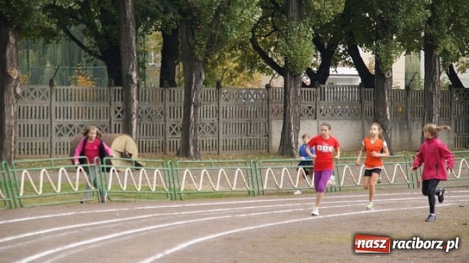 Zdjęcie w galerii na portalu naszraciborz.pl: Sport szkolny. Lekkoatletyczna Olimpiada wiadomości z regionu