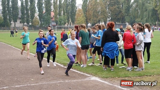Zdjęcie w galerii na portalu naszraciborz.pl: Sport szkolny. Lekkoatletyczna Olimpiada wiadomości z regionu