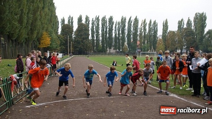 Zdjęcie w galerii na portalu naszraciborz.pl: Sport szkolny. Lekkoatletyczna Olimpiada wiadomości z regionu