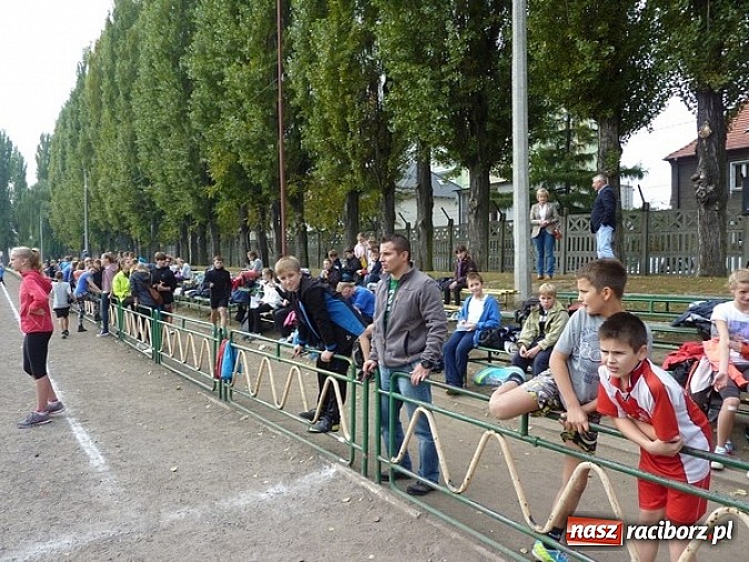 Zdjęcie w galerii na portalu naszraciborz.pl: Sport szkolny. Lekkoatletyczna Olimpiada wiadomości z regionu